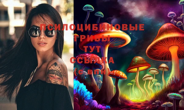 mdma Богданович