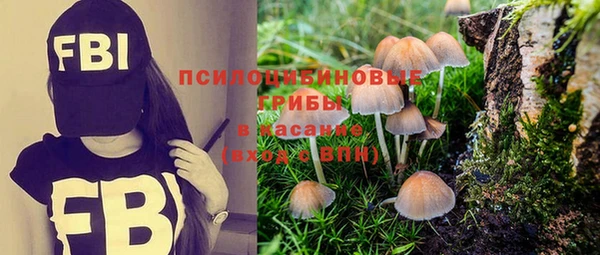 кокс Снежинск