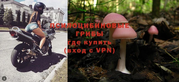 jwh Богородицк